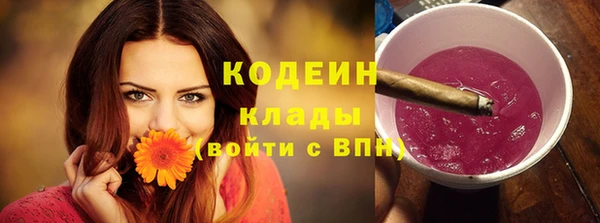 индика Семилуки