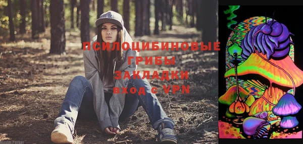 ALPHA PVP Семёнов