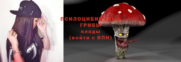 MDMA Снежногорск