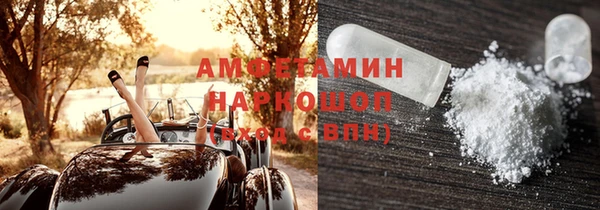 индика Семилуки