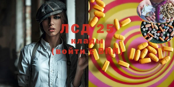 индика Семилуки