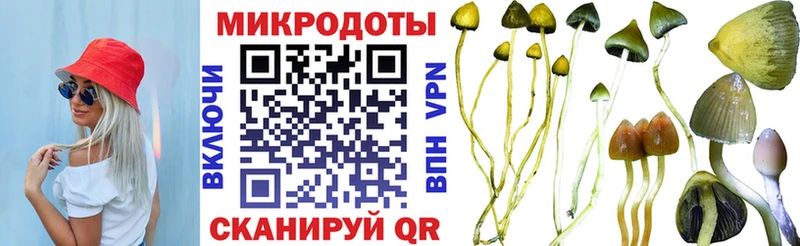 Псилоцибиновые грибы GOLDEN TEACHER  наркошоп  Углегорск 